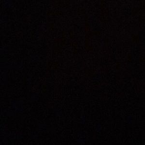 Meet your Posher, Randy